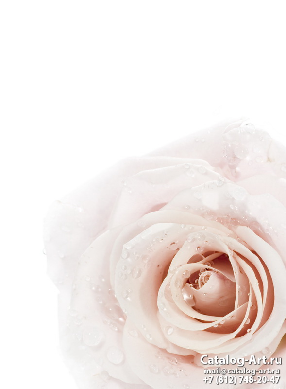 Натяжные потолки с фотопечатью - Белые розы 28